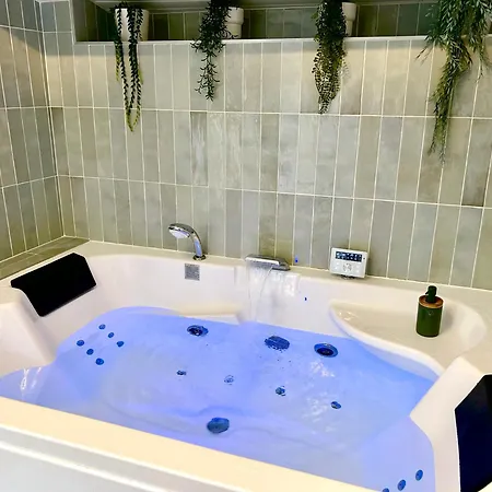 L 'ecrin - Balneo & Cineroom Holiday home Poitiers